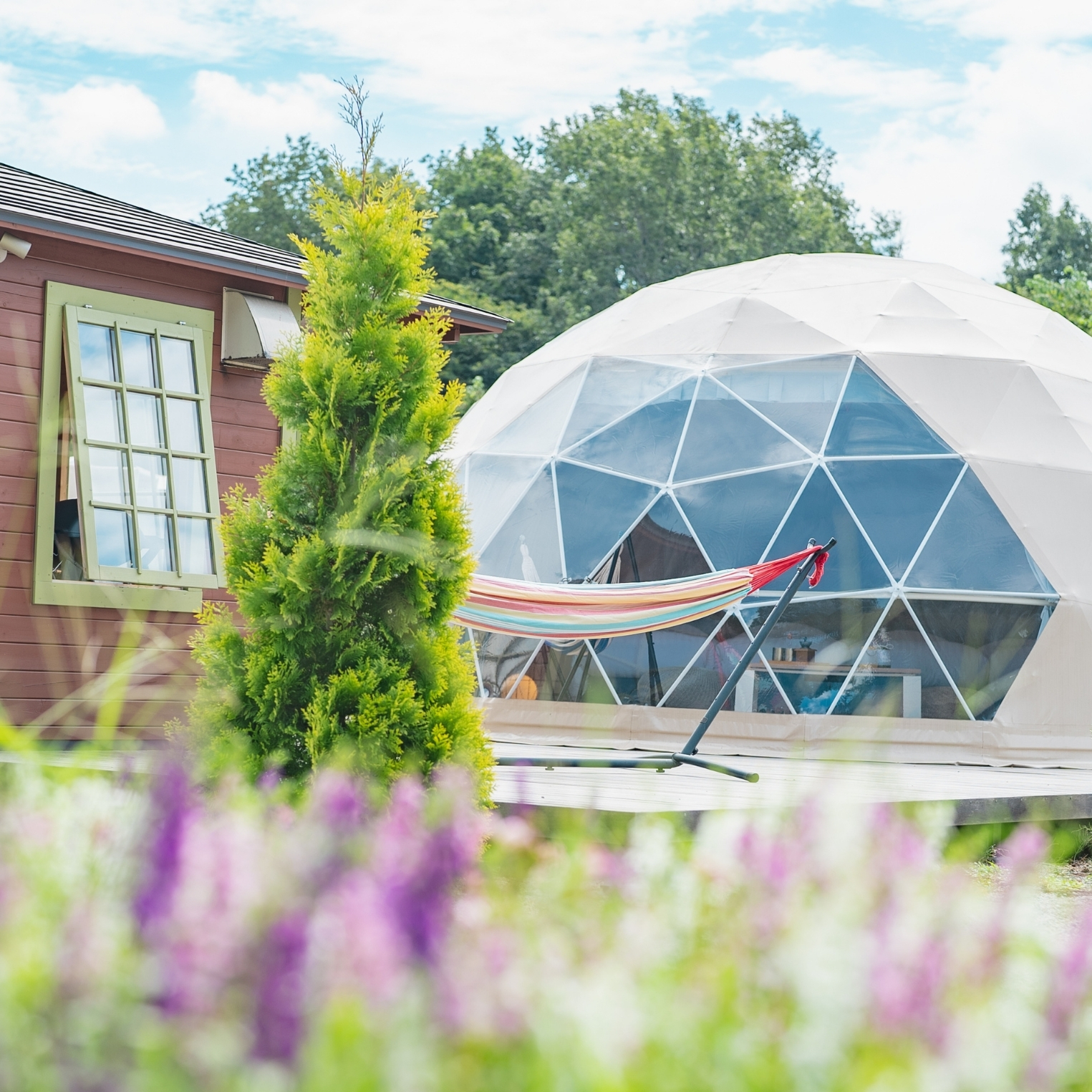 フォトギャラリー