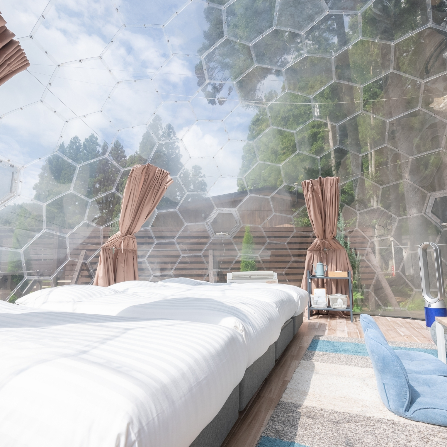 フォトギャラリー