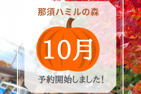 10月31日までの予約受付開始!