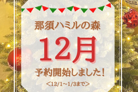 12月1日〜1月3日までの予約受付開始!
