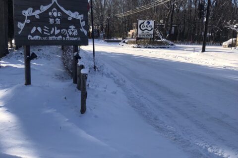 那須ハミルの森ー積雪情報ー