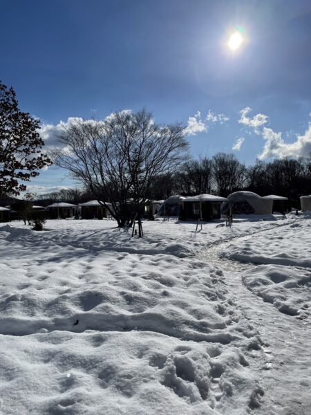 那須ハミルの森2月11日施設内積雪情報