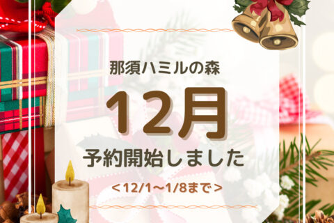 12月&年末年始のご予約受付開始!