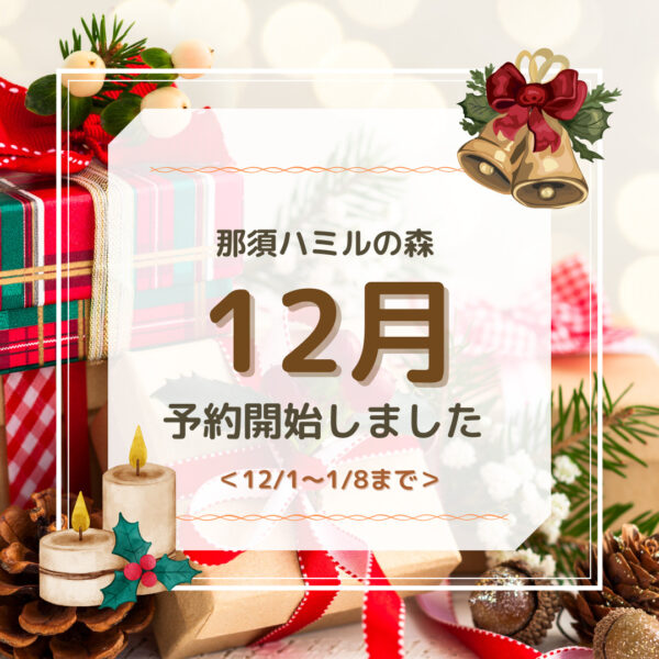 12月＆年末年始のご予約受付開始！