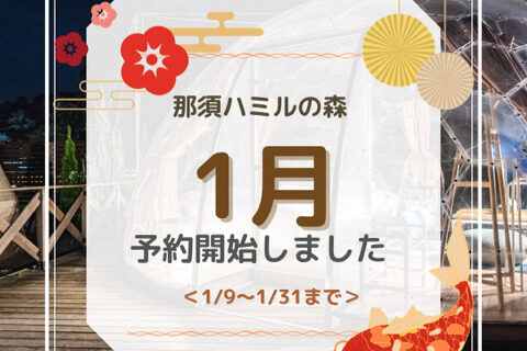 1月31日までのご予約受付開始！