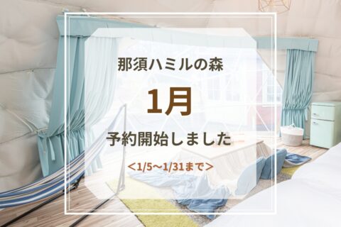 1月予約開始のお知らせ