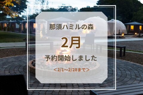2月予約開始のお知らせ