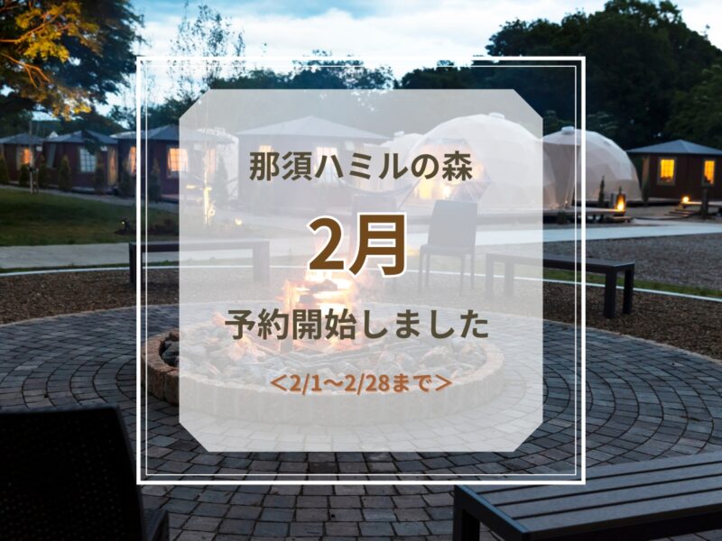 2月予約開始のお知らせ
