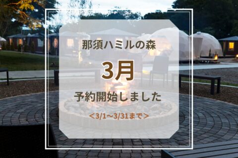 3月予約開始のお知らせ