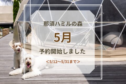 5月予約受付開始のお知らせ