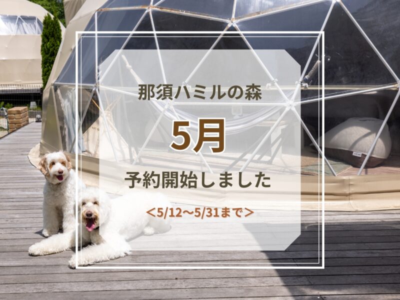 5月予約受付開始のお知らせ