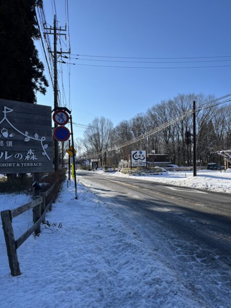 本日の積雪情報