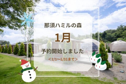 1月ご予約受付開始のお知らせ