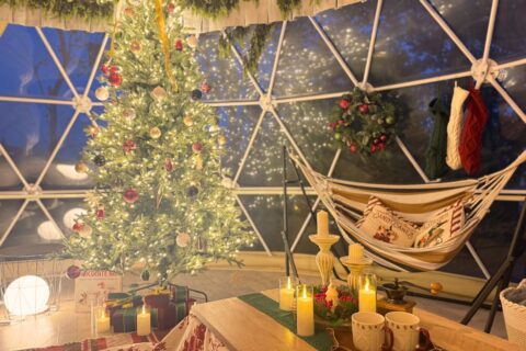 【ご案内】2026年Xmasデコレーションルームプランの販売日時のご案内